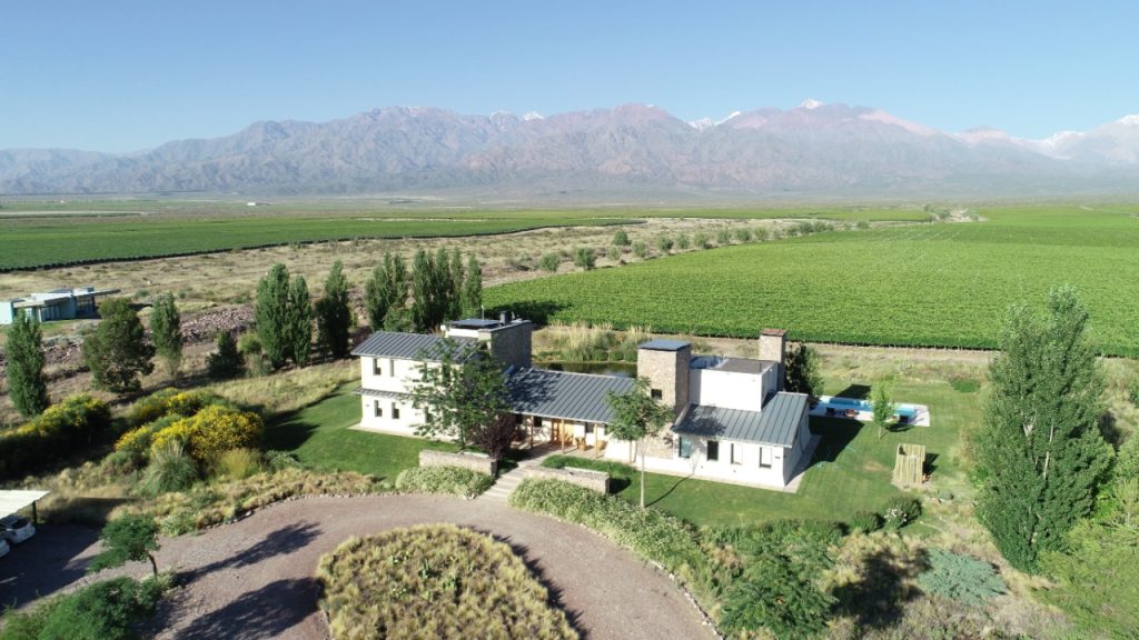 lodge-gran-vineyard-estates-argentina-uco-valley-vines