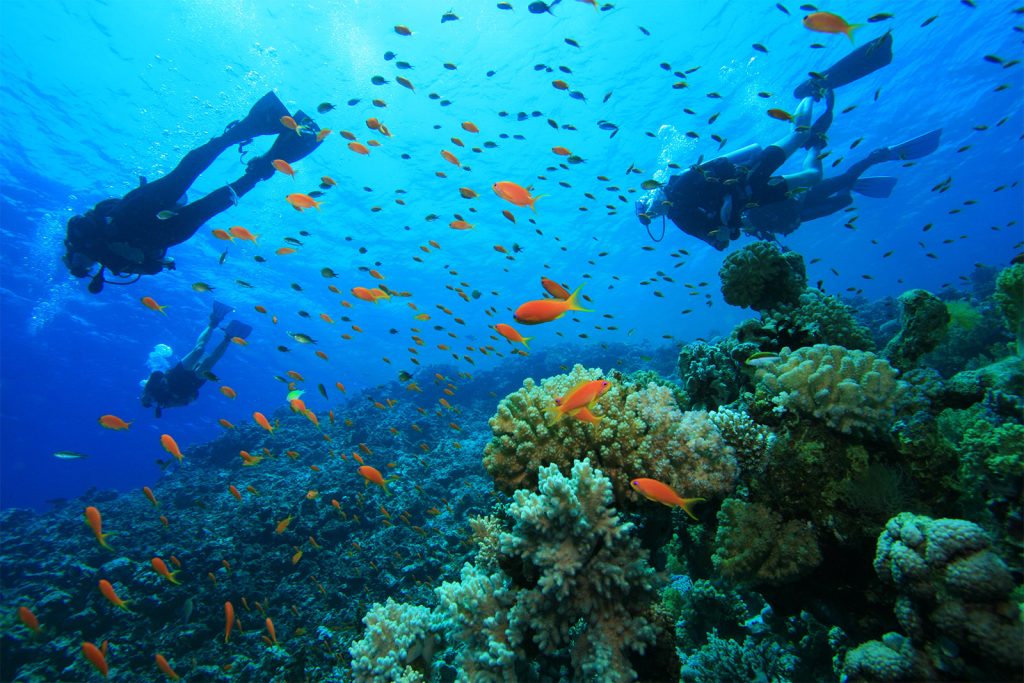 Turneffe Atoll Scuba Diving
